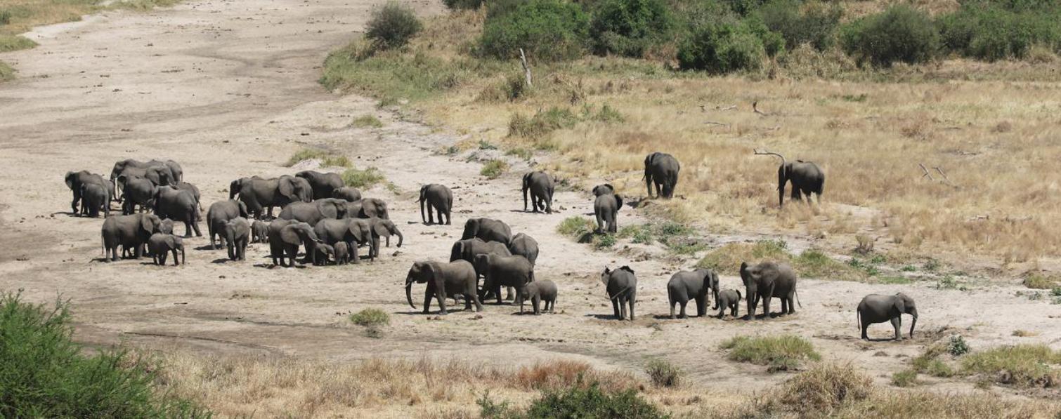 3 Days Tanzania Safari