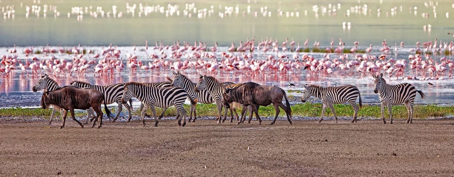 2 Days Tanzania Adventure