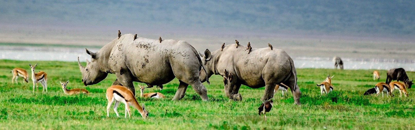 7 Days The Best of Tanzania