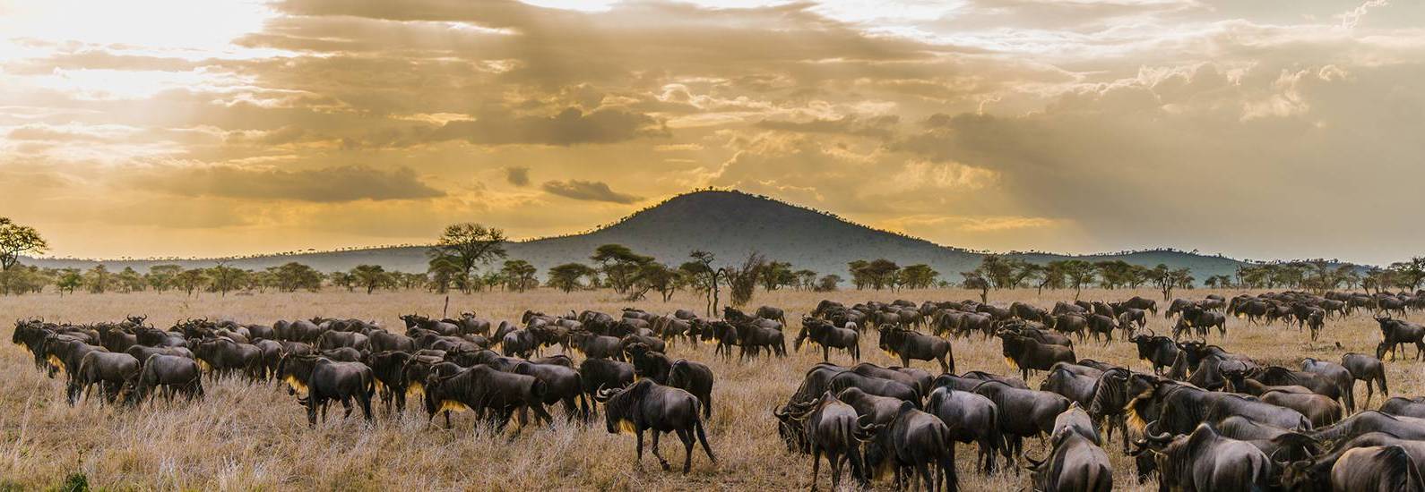 6 Days Ultimate Tanzania