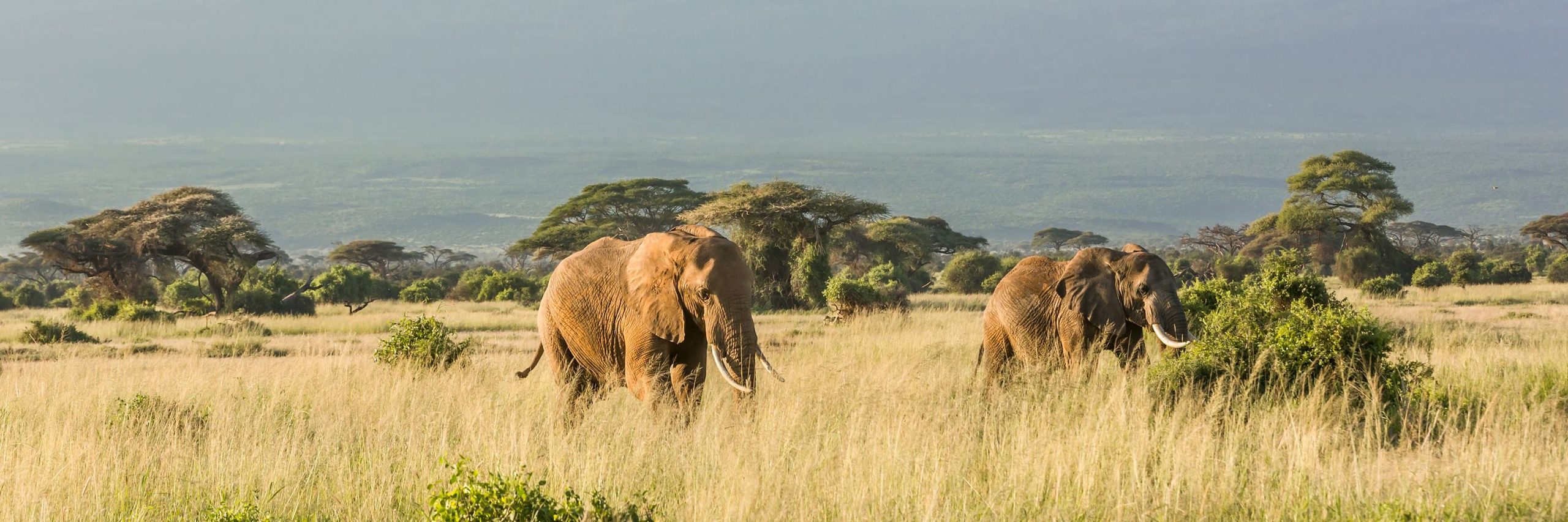 Reasons why Tanzania is the best holiday destination