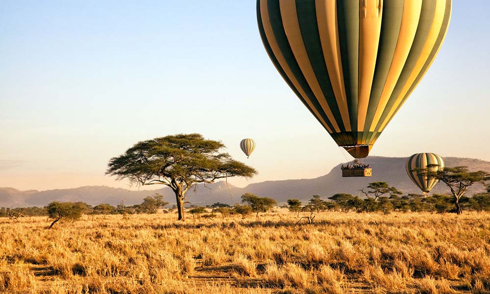 things to do in Tanzania