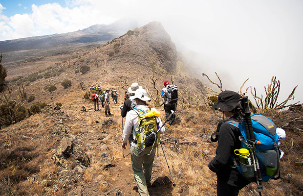 kilimanjaro trekking