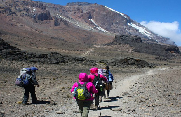 kilimanjaro trekking