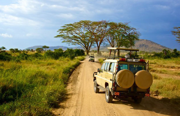 things to do in Tanzania
